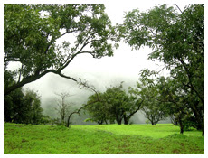 Matheran, Maharastra