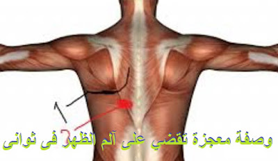  وصفة معجزة تقضي على آلم الظهر فى ثوانى أنزلها الله على الرسول منذ 1400عام - سبحان الله 