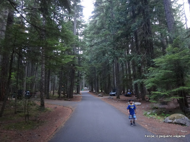 Silver Springs Campground_Mt. Baker_Snoqualmie National Forest