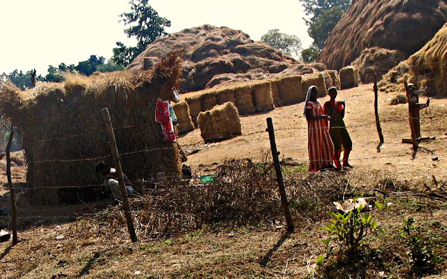 hay stacks and people