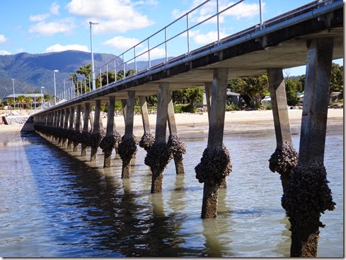 Cardwell Pier