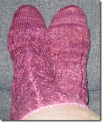 CookieA Sunshine Sock