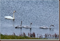 tusw-family_0344