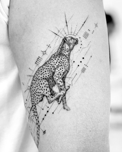 Tatuagens de animais - 140 ideias femininas