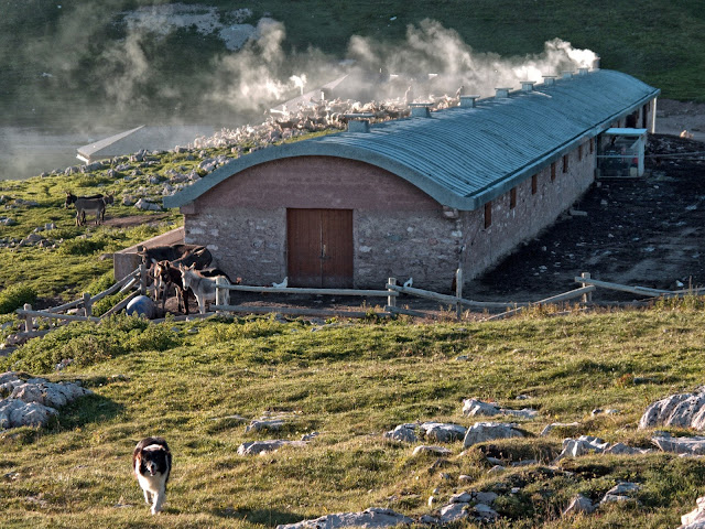 malga tassulla