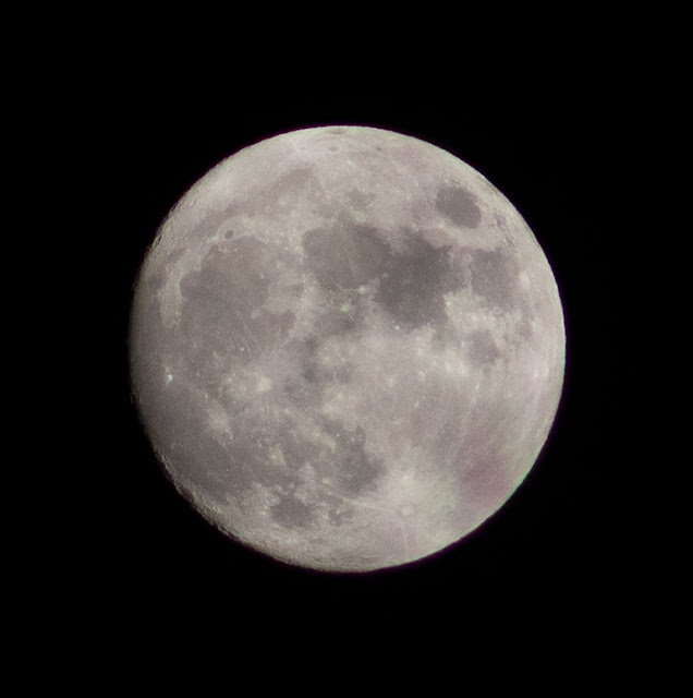 Full moon image of November 1 (Source: Palmia Observatory)