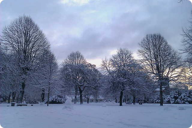 IMAG0671