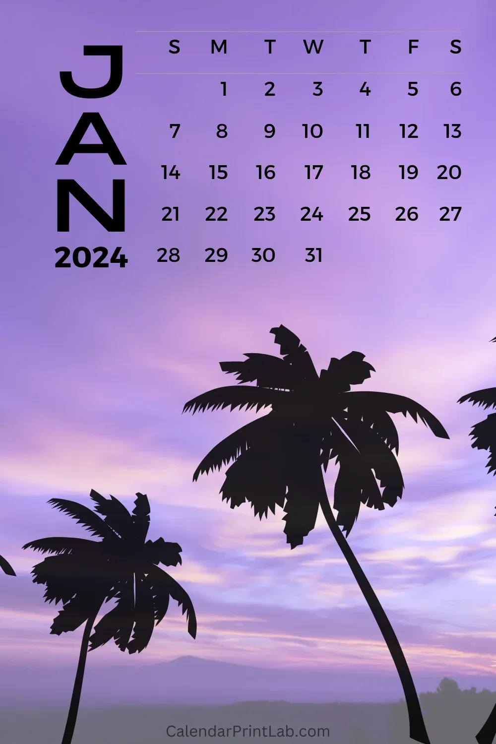 iPhone January 2024 Beach Wallpaper