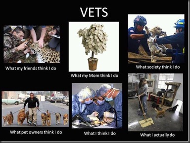 2325_Vet