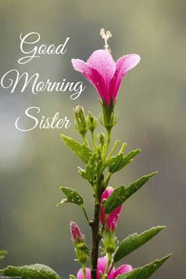 Good Morning Wishes For Sister