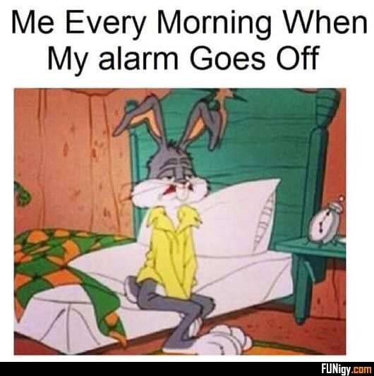 40+ Most Funny and Hilarious Good Morning Memes - Best ...