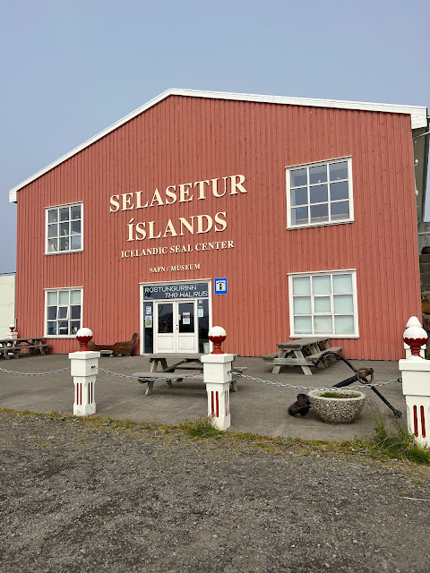 Learn about seals and other Icelandic wildlife at the Icelandic Seal Center in Hvammstangi.