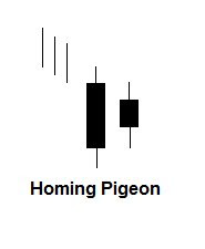 Homing pigeon candlestick patroon