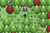 Pokémon Aquamarine Megaevolution Screenshot 00