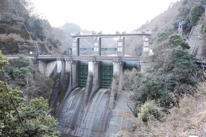 DSC 0450