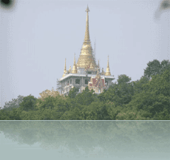 nsnpagoda[2]