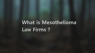 What is Mesothelioma Law Firms