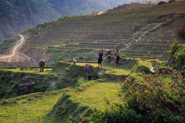 Start Your First Trip To Sapa By Easy Trekking