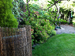 cover an old compost bin with willow screen by Meera LYNN