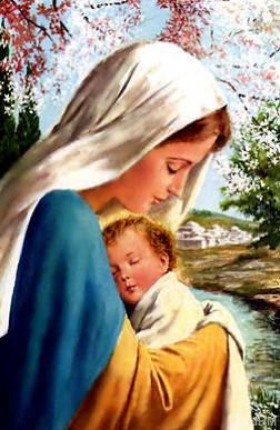 La vida es...¡AHORA!: Ustedes no estàn aqui para sufrir_Mensaje de la Madre  Maria, canalizado por Pamela Kribbe