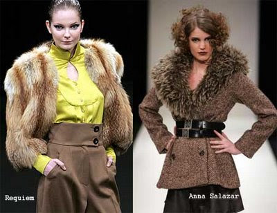 Trends For Winter 2009-2010
