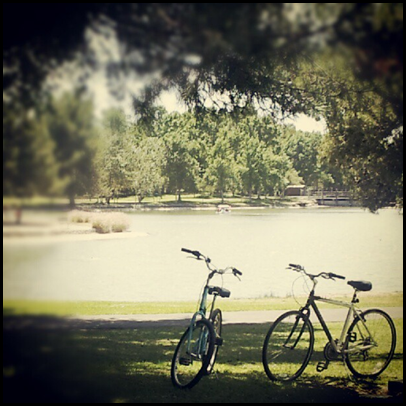 The Lake at the Park