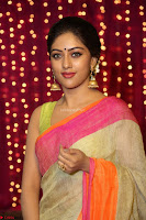 Anu Emanuel Looks Super Cute in Saree ~  Exclusive Pics 030.JPG