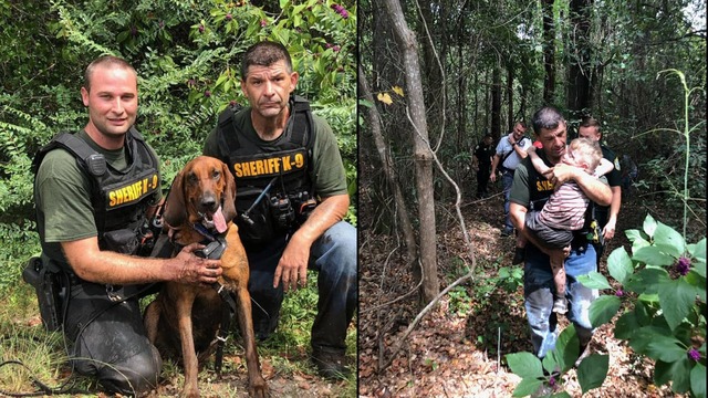 K-9 Found Missing Three-Year-Old Florida Boy With Autism In Less Than Half An Hour