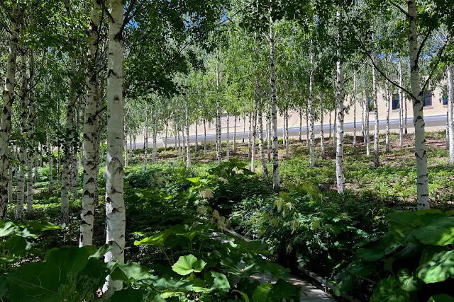ГЭС-2, лес