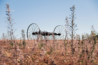 Öland Hästräfsa