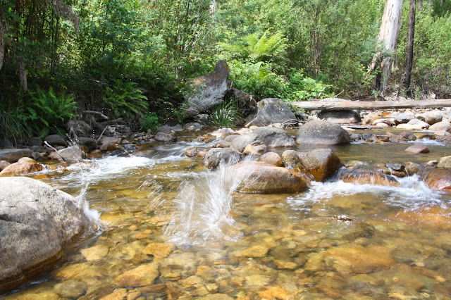 Delatite River at Mirimbah Park