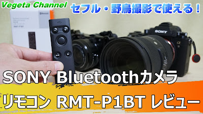  セフル・野鳥撮影で使える！ SONY Bluetoothカメラリモコン RMT-P1BT レビュー