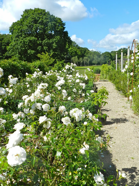 Modern Country garden