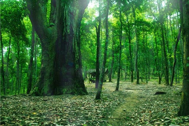 10 Tempat Wisata di Temanggung yang Wajib Dikunjungi 