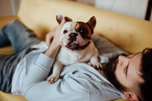 aking care of a bulldog requires some special considerations due to their unique characteristics. Here are some tips for caring for your bulldog