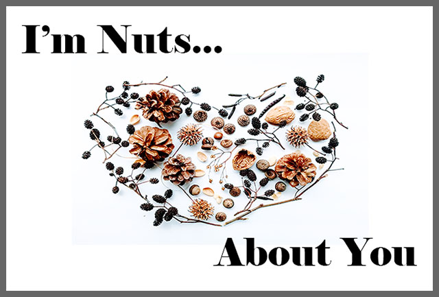 Nuts About You Valentine card idea for him, Nature Heart art of pinecones, Masculine card for guy's anniversary