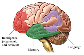 Alzheimer’s Diasease