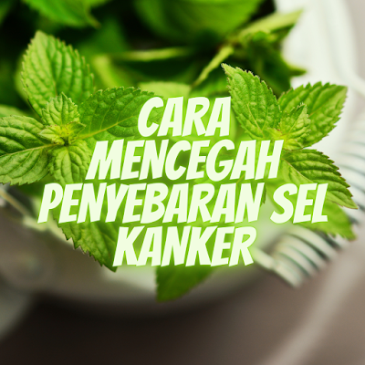 CARA MENCEGAH PENYEBARAN SEL KANKER