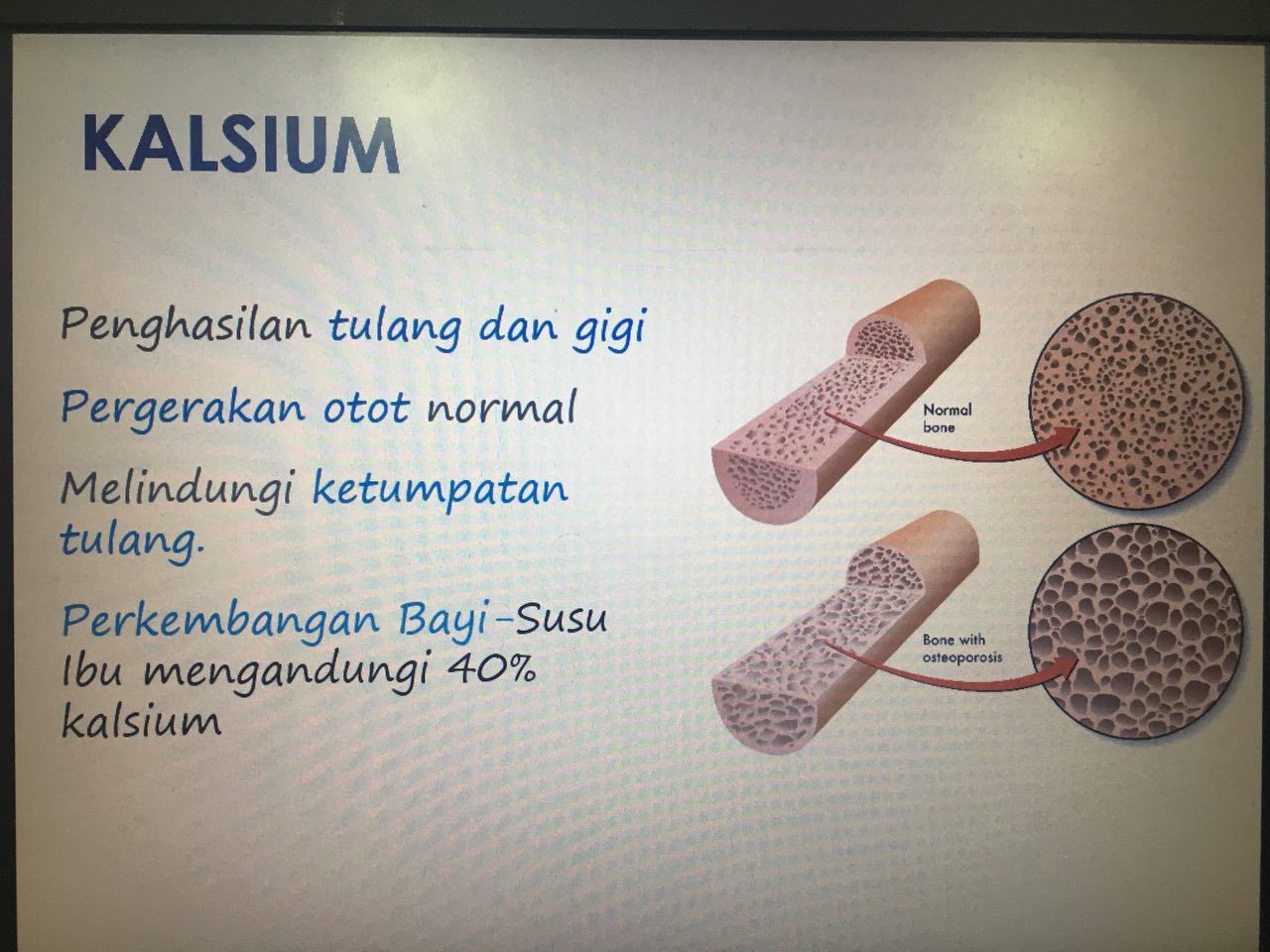 image results for kepentingan kalsium