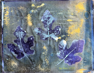 Sue Reno_wet cyanotype_image 1101