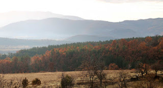 Lovely autumn colours on the ridge