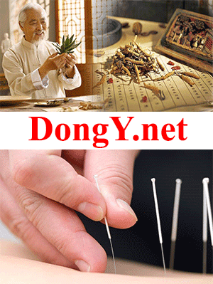 DongY.net