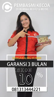 Garda Pest Control Jasa Pembasmi Tawon dan Lebah di Bandung