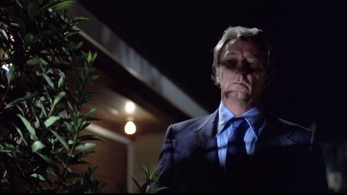 Le Grand Sommeil 1978 bonne qualité