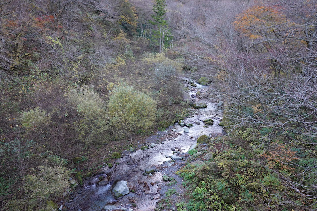 鳥取県西伯郡大山町 大山環状道路 阿弥陀川