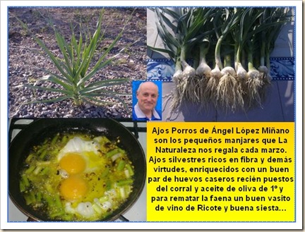 2010-03-25 Ajos Porros de Ángel López Miñano Abarán