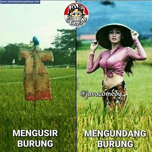 Gambar Lucu Bikin Ngakak Abis Abisan<br/>