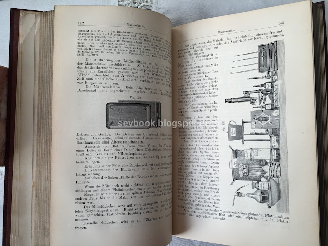 Lehrbuch der Bakteriologie, Diagnostik und Immunitätslehre Ludwig Heim