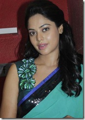 Actress Bindu Madhavi at Desingu Raja Movie Team Interview Photos