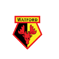 Daftar Skuad Watford Terbaru 